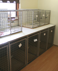 Pet Waiting Rooms